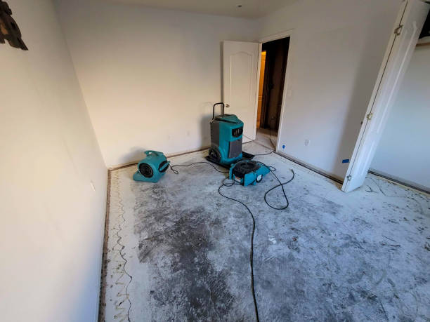 Best Ceiling water damage repair  in Ossun, LA