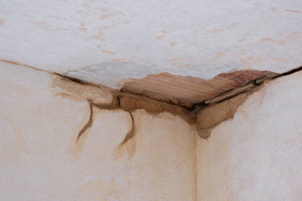 Water damage restoration insurance claims in LA
