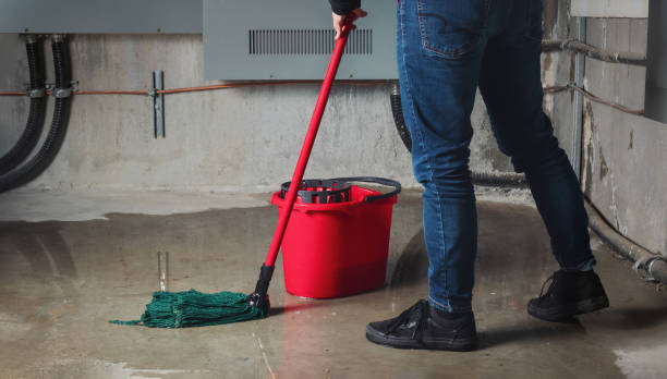 Best Water damage restoration near me  in Ossun, LA