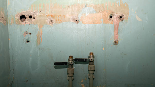 Best Professional water damage repair  in Ossun, LA